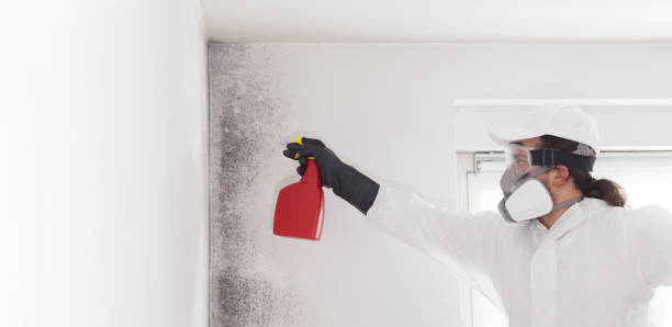 Trusted Lincoln City, OR Mold Remediation Experts